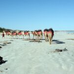 séjour Australie