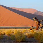 Des moments riches en découvertes durant une balade en voiture en Namibie