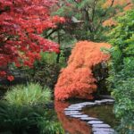 petit jardin japonais devant maison