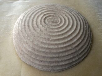 tapis rond 300 cm