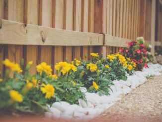 Aménagement jardin